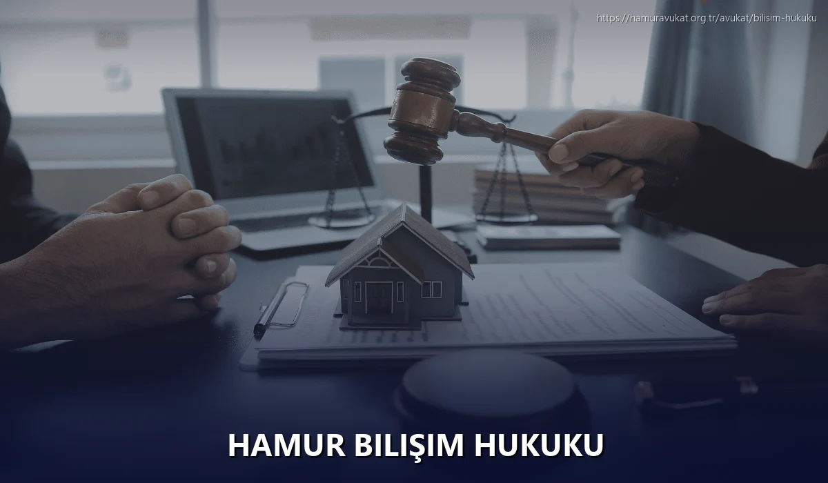 Hamur Bilişim Hukuku